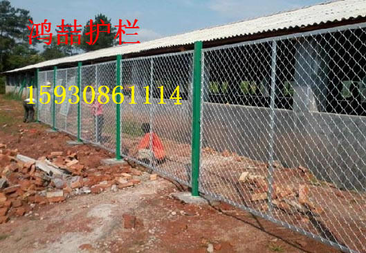 美格網(wǎng)護(hù)欄網(wǎng) 美格網(wǎng)護(hù)欄網(wǎng)